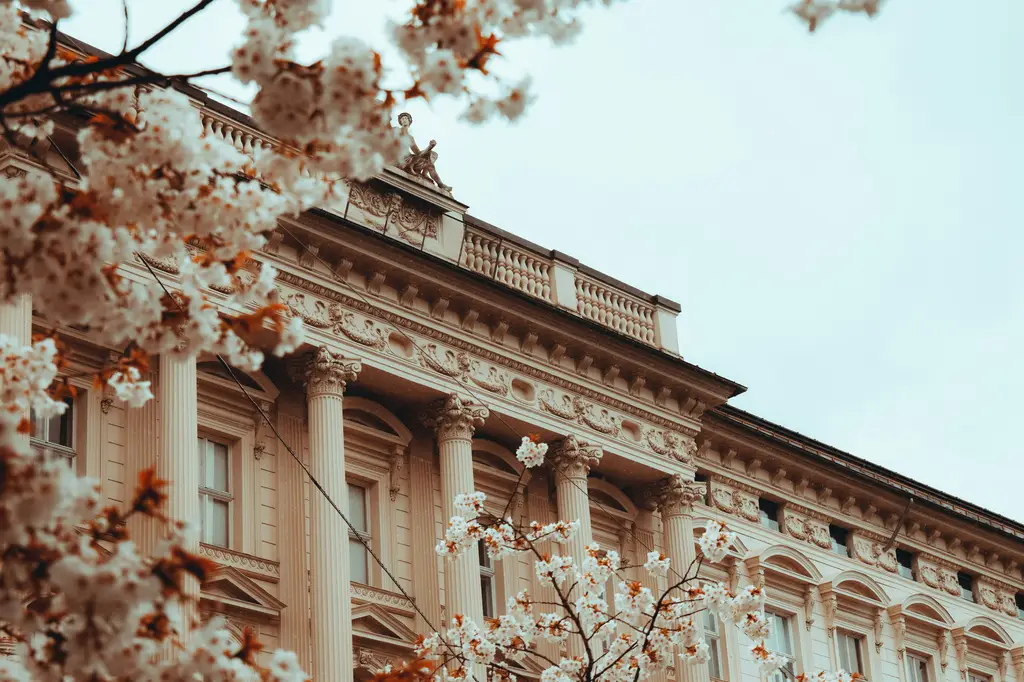 流浪的月：探究人性幽微與人倫界線的新生力作