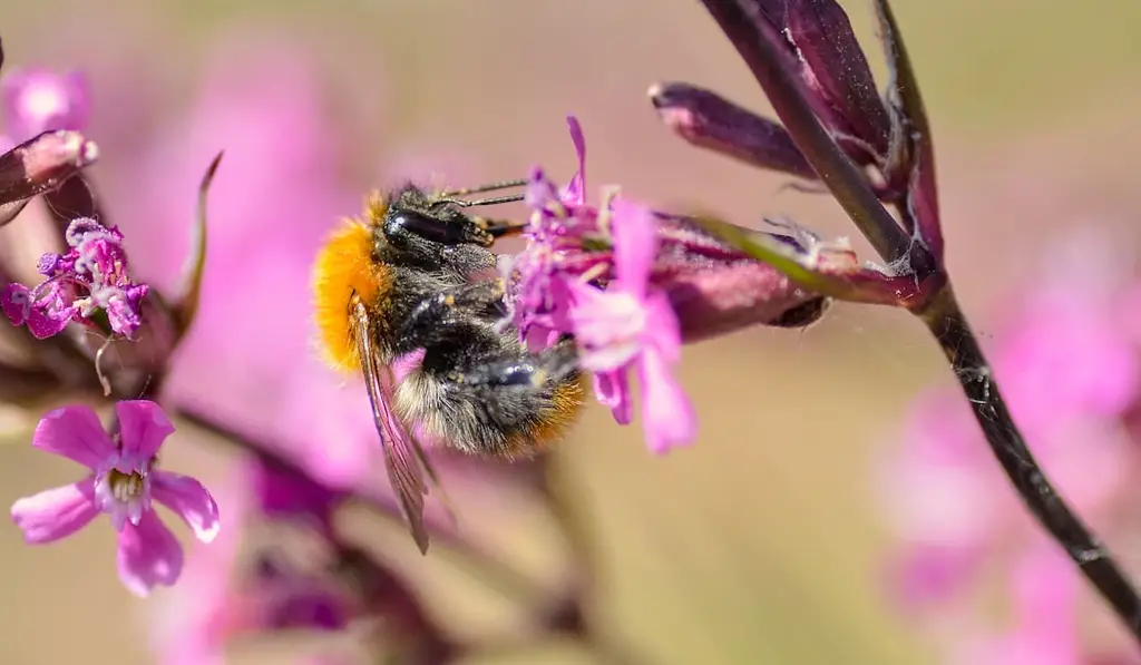 實體書vs.電子書：閱讀新世代的抉擇